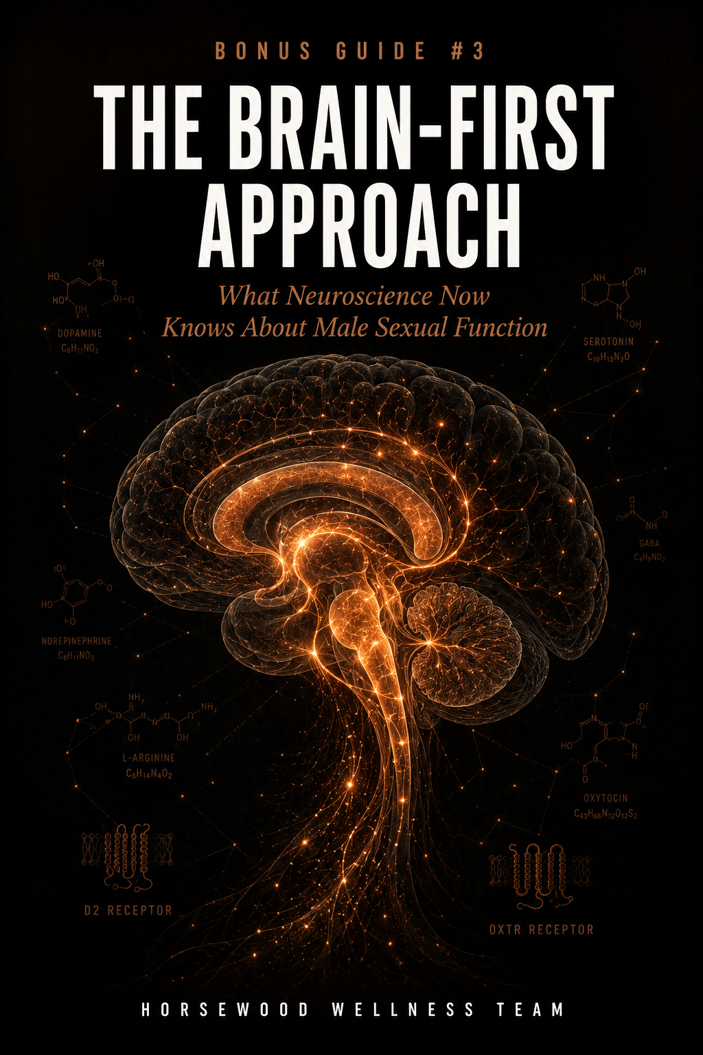 Bonus guide: The Brain-First Approach
